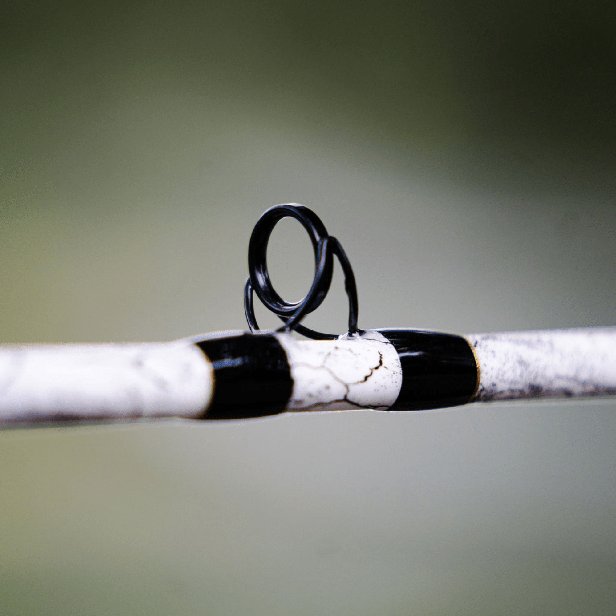 1 of 220 The Testament of Time Casting Rod - Limited Edition Rod