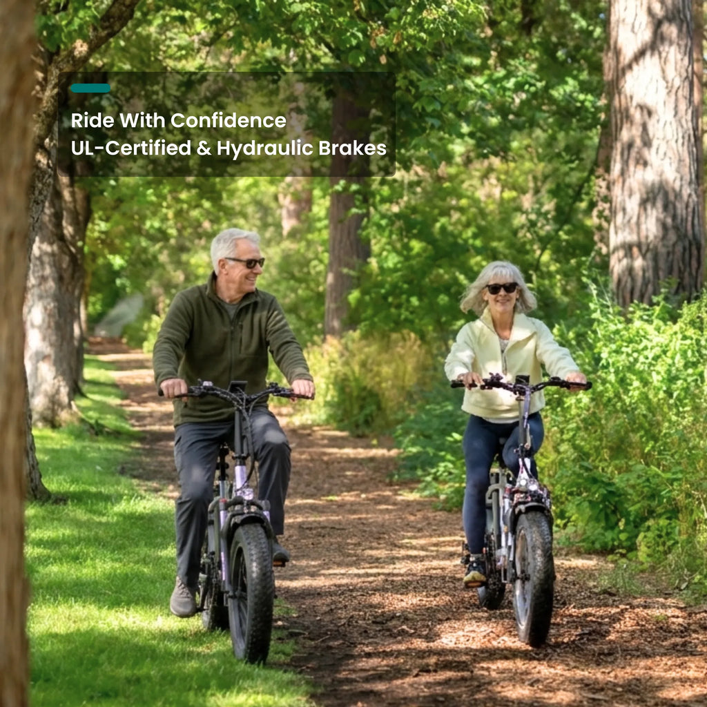VTUVIA SF20H Utility Ebike