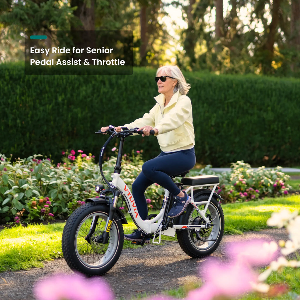 VTUVIA SF20H Utility Ebike