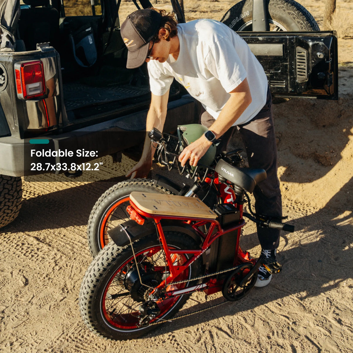VTUVIA SF20H Utility Ebike