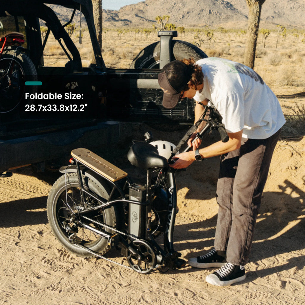 VTUVIA SF20H Utility Ebike