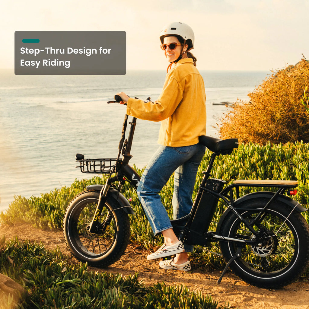 VTUVIA SF20H Utility Ebike