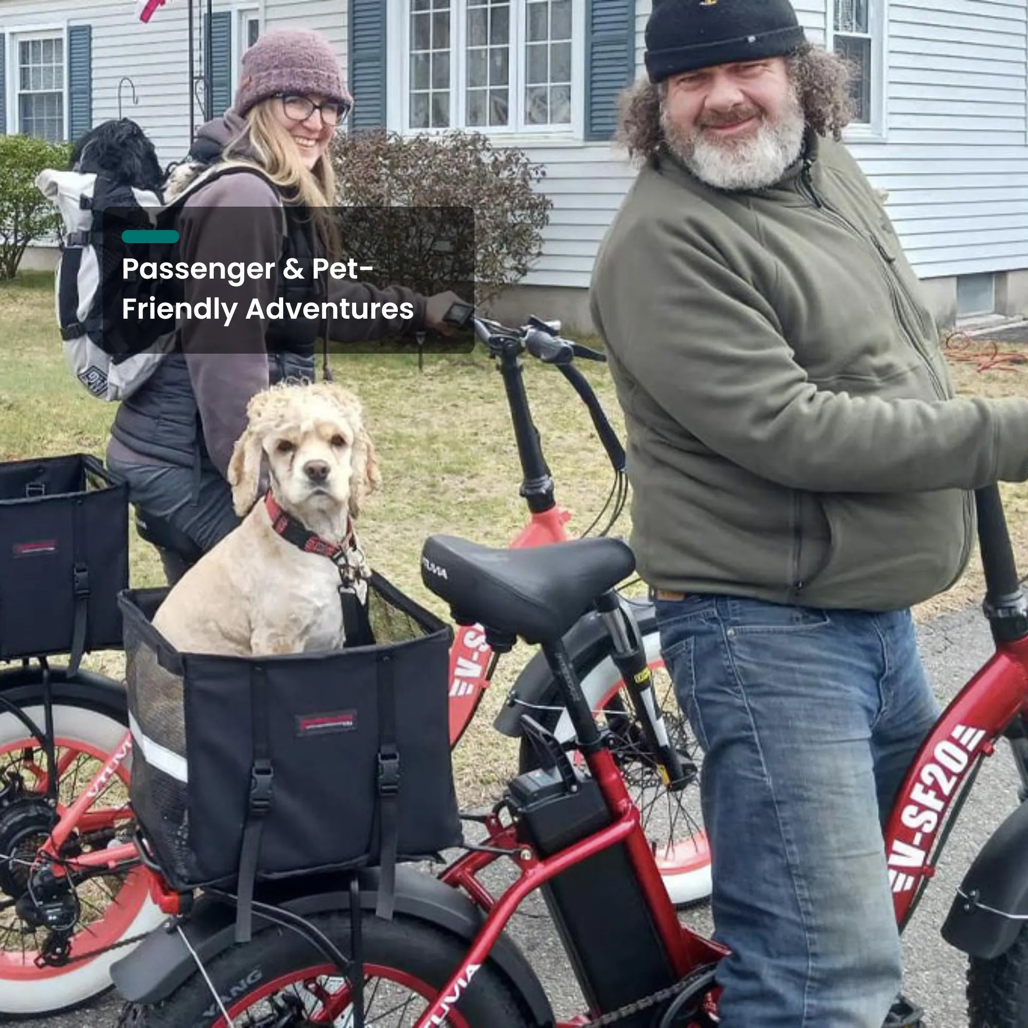VTUVIA SF20H Utility Ebike